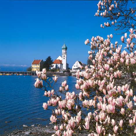 Wasserburg - Impression mit Magnolien im Vordergrund