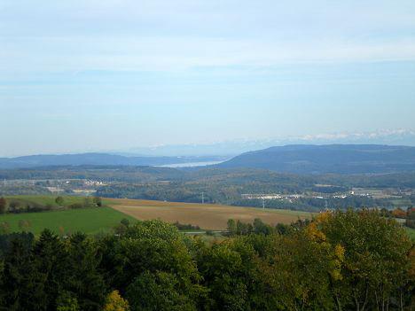 Bodensee mit Alpen (A / CH)